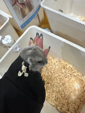 いきもの探検隊上尾に投稿された画像（2026/3/20）