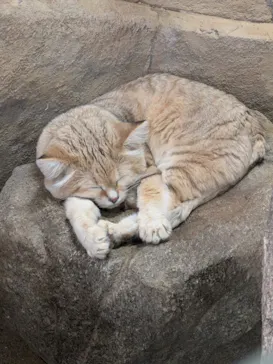 こども動物自然公園（埼玉県公園緑地協会）に投稿された画像（2026/3/20）