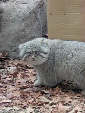こども動物自然公園（埼玉県公園緑地協会）に投稿された画像（2026/3/20）