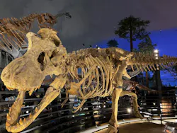 福井県立恐竜博物館に投稿された画像（2026/3/20）