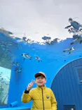 サンシャイン水族館に投稿された画像（2026/3/20）