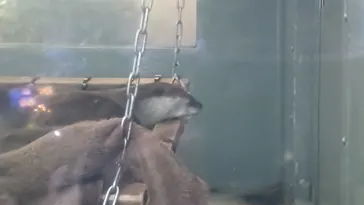 サンシャイン水族館に投稿された画像（2026/3/20）