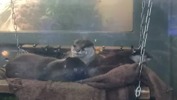 サンシャイン水族館に投稿された画像（2026/3/20）