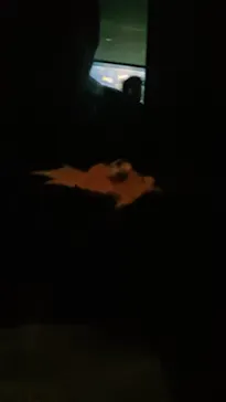 サンシャイン水族館に投稿された画像（2026/3/20）