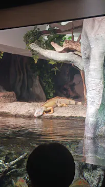 サンシャイン水族館に投稿された画像（2026/3/20）