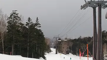 ワンダーランドOZEかたしなに投稿された画像（2026/3/20）