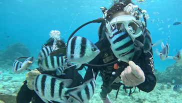 青の洞窟専門店　沖縄ダイビングショップ和に投稿された画像（2026/3/20）