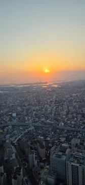 ハルカス300(展望台)に投稿された画像（2026/3/20）