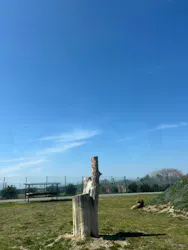 岩手サファリパークに投稿された画像（2026/3/20）