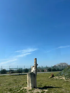 岩手サファリパークに投稿された画像（2026/3/20）