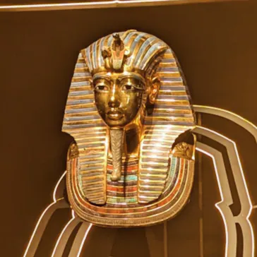 MYSTERY OF TUTANKHAMEN 体感型古代エジプト展に投稿された画像（2026/3/20）