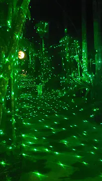 美らヤシパークオキナワ・東南植物楽園に投稿された画像（2026/3/20）