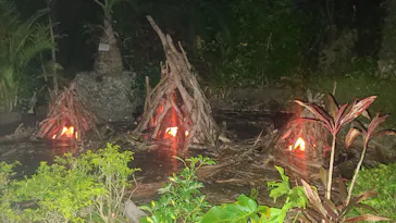 美らヤシパークオキナワ・東南植物楽園に投稿された画像（2026/3/20）