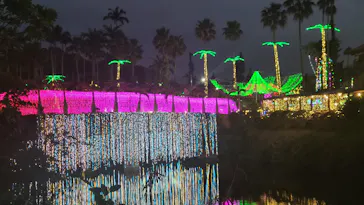 美らヤシパークオキナワ・東南植物楽園に投稿された画像（2026/3/20）