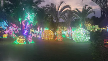 美らヤシパークオキナワ・東南植物楽園に投稿された画像（2026/3/20）