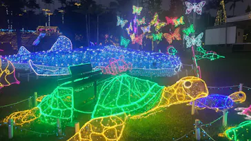 美らヤシパークオキナワ・東南植物楽園に投稿された画像（2026/3/20）