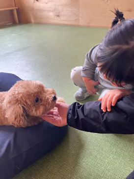 nest.に投稿された画像（2026/3/20）