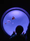 サンシャイン水族館に投稿された画像（2026/3/20）