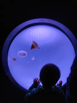 サンシャイン水族館に投稿された画像（2026/3/20）