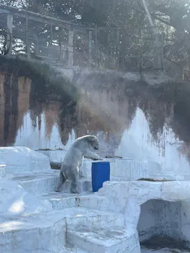 天王寺動物園に投稿された画像（2026/3/20）