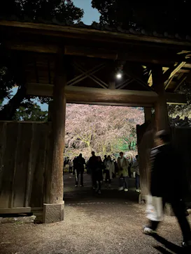 六義園に投稿された画像（2026/3/20）