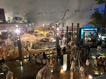 福井県立恐竜博物館に投稿された画像（2026/3/20）