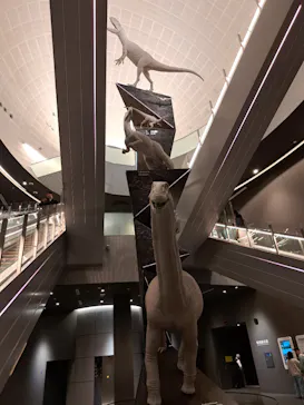 福井県立恐竜博物館に投稿された画像（2026/3/20）