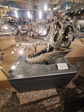 福井県立恐竜博物館に投稿された画像（2026/3/20）