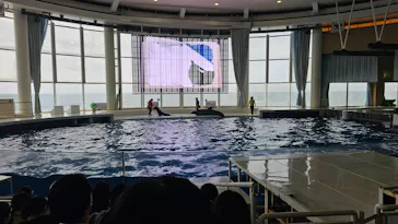アクアワールド茨城県大洗水族館に投稿された画像（2026/3/20）