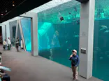 環境水族館アクアマリンふくしまに投稿された画像（2026/3/20）