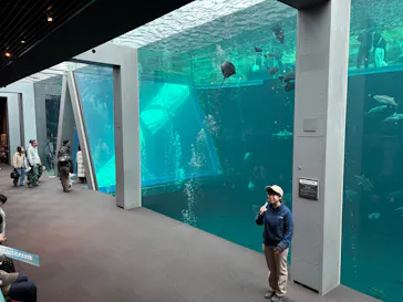 環境水族館アクアマリンふくしまに投稿された画像（2026/3/20）