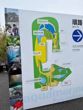 環境水族館アクアマリンふくしまに投稿された画像（2026/3/20）