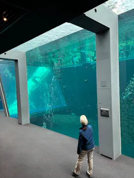 環境水族館アクアマリンふくしまに投稿された画像（2026/3/20）