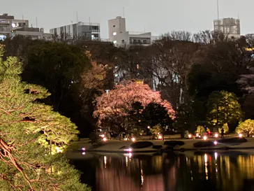六義園に投稿された画像（2026/3/20）
