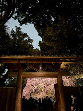 六義園に投稿された画像（2026/3/20）