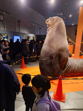 特別展「超危険生物展　科学で挑む生き物の本気」に投稿された画像（2026/3/20）