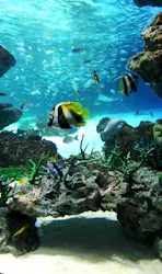 サンシャイン水族館に投稿された画像（2026/3/20）