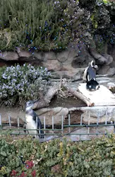 サンシャイン水族館に投稿された画像（2026/3/20）