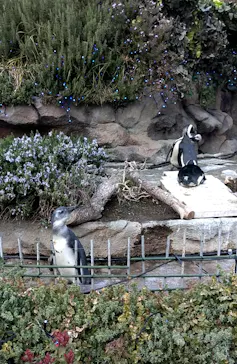 サンシャイン水族館に投稿された画像（2026/3/20）