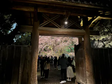 六義園に投稿された画像（2026/3/20）