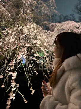 六義園に投稿された画像（2026/3/20）