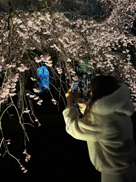 六義園に投稿された画像（2026/3/20）