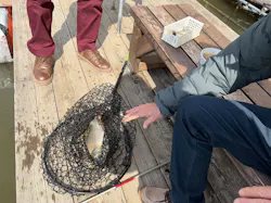 大安トラウトレイクに投稿された画像（2026/3/20）