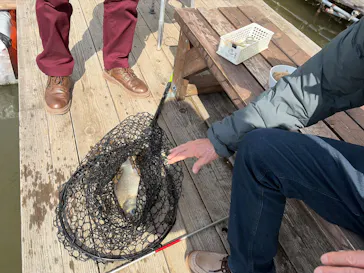 大安トラウトレイクに投稿された画像（2026/3/20）