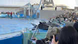 名古屋港水族館に投稿された画像（2026/3/20）