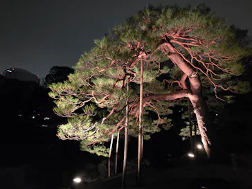 六義園に投稿された画像（2026/3/20）