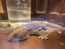 世界淡水魚園水族館　アクア・トトぎふに投稿された画像（2026/3/20）