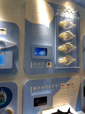 葛西臨海水族園に投稿された画像（2026/3/20）