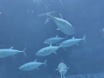 葛西臨海水族園に投稿された画像（2026/3/20）