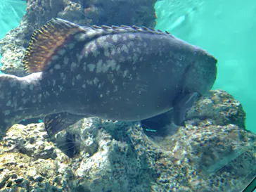 葛西臨海水族園に投稿された画像（2026/3/20）